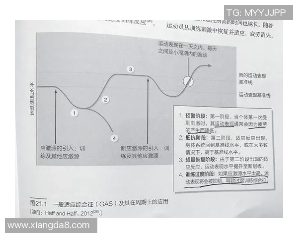 网球运动员如何通过科学训练提升竞技水平与心理素质的全面分析