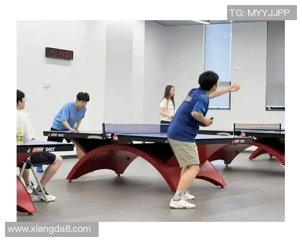 乒乓球专题:深入探讨杭州乒乓球队的团队协作与默契配合之道